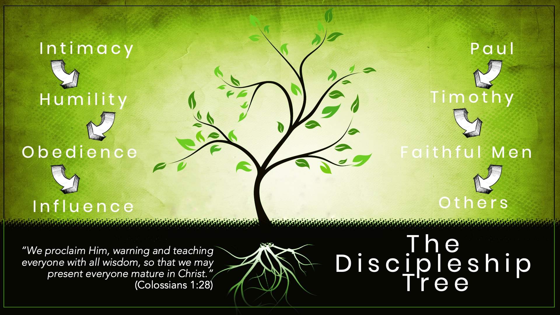 Discipleship Initiative: Mid-Year Progress