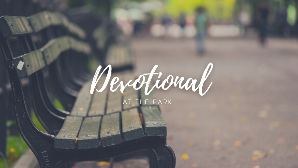 Ladies Devotional at the Park